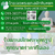 ร้านไทยเจดพระแกะสลักหินหยก ร้านไทยเจดพระแกะสลักหินหยก