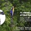 เฮลิคอปเตอร์ Walkera HM V450D03 Helicopter (2.4Ghz Value Edition)
