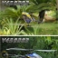 เฮลิคอปเตอร์ Walkera HM V450D03 Helicopter (2.4Ghz Value Edition)