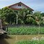For Sales : Land on the Chao Phraya River, 2 Rai