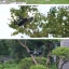 Xtreme Quadcopter Car