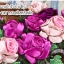 งานปักริบบิ้นรูปสดใสยามเช้า Good Morning by Easy DIY ครอสติสคริสตัล