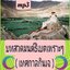 [พรเทวะ] แฟลชไดร์ฟ USb mp3 บทสวดมนต์ธิเบตเพราะๆ (เทศกาลกินเจ) ใช้กับเครื่องเล่น USB/mp3 ทุกชนิดหรือเปิดฟังในรถยนต์เปิดในคอมพิวเตอร์ได้ *** สามารถ โหลดใส่มือถือ ฟังได้ ** เปิดในคอมพิวเตอร์ได้ USB-MP3 คือ แฟลชไดร์ฟที่ลงเพลงแล้วพร้อมฟัง สามารถใช้ได้กับ เครื่