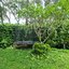 For Rent : 2Story beautiful house with big yard 3 bedroom