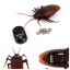 แมลงสาบบังคับ Cockroach Toy