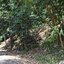 For Sales : Land at Kathu, Near golf course, 184 sqw.