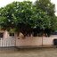 For Rent : House available for rent At Rawai Phuket 2 Bedrooms 2 Bathrooms