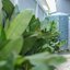 For Rent : Cherngtalay, One-story semi-detached house @Baan Don, 2 bedrooms 2 bathrooms