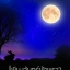 เพียงจันทร์ฟ้าพราว