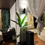 For Rent : Pakhlok, One-Story Detached House, 2 Bedrooms 2 Bathrooms