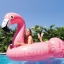 Intex 56288 Mega Pink Flamingo แพยางเป่าลมนกฟลามิงโก้สีชมพู ตัวใหญ่