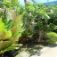 For Rent : Rawai, Private Pool Villa, 3 Bedroom 4 Bathroom