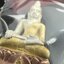พระไพรีพินาศ รุ่นมหามงคล 72 พรรษา (6 รอบ) ในหลวงรัชกาลที่9 ปี2542 พิมพ์ใหญ่ เนื้อเงินบริสุทธิ์ 99.9% ชุบสามกษัตริย์แบบพ่นทรายขัดเงาบางส่วน(สภาพสวยซีนซองเดิมกล่องบรรจุเดิมครบสมบูรณ์)1 ใน 1500 องค์
